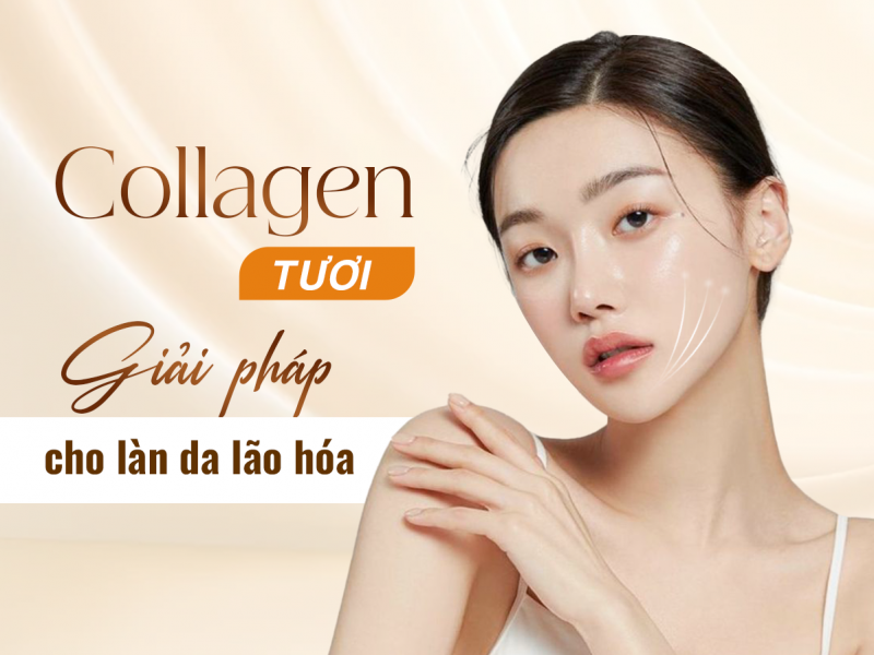 Trẻ Hóa Cấy Collagen Tươi