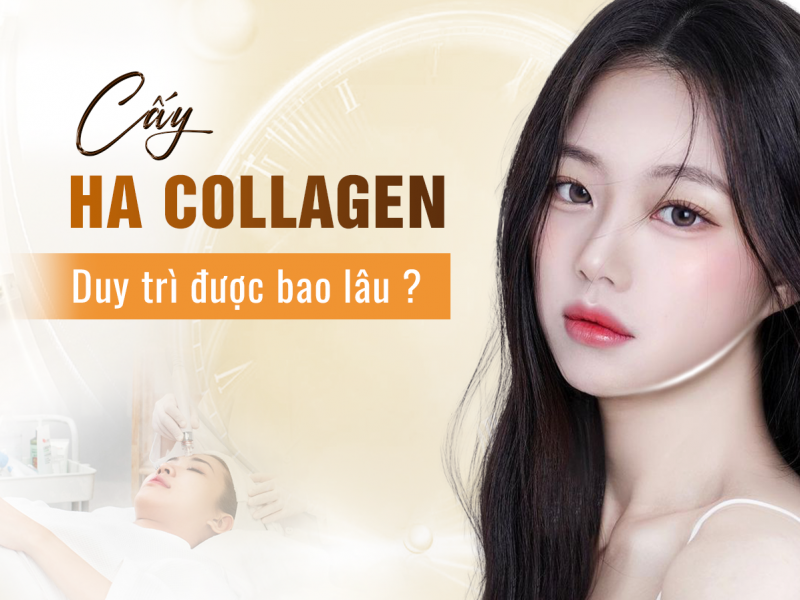 Cấy Ha Collagen Làm Đẹp Da Được Bao Lâu? 